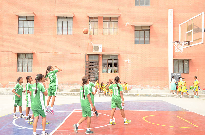 SPORTS - BASKETBALL 12