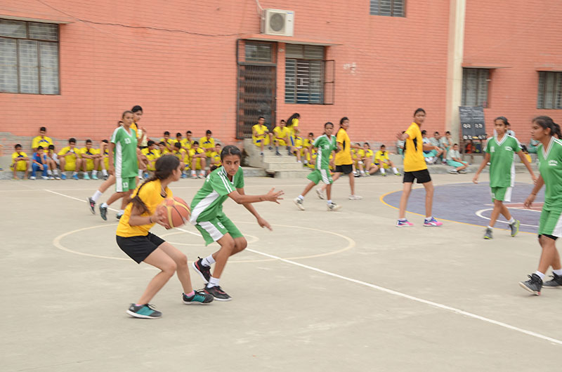 SPORTS - BASKETBALL 3
