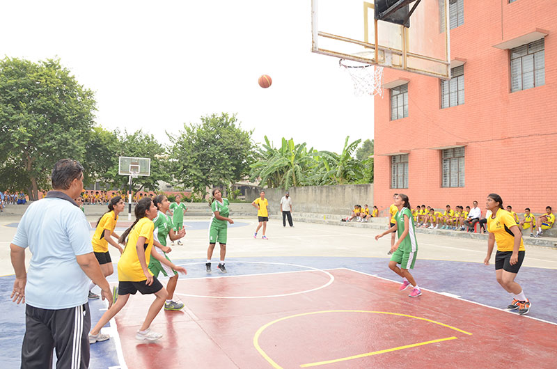 SPORTS - BASKETBALL 4
